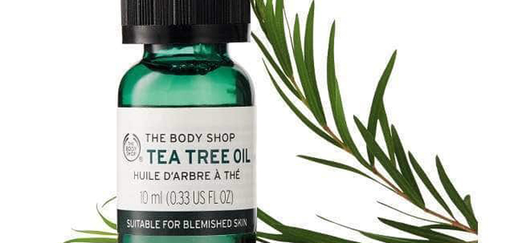 Tee Tree Oil Treccine afro e uso del Tee Tree Oil